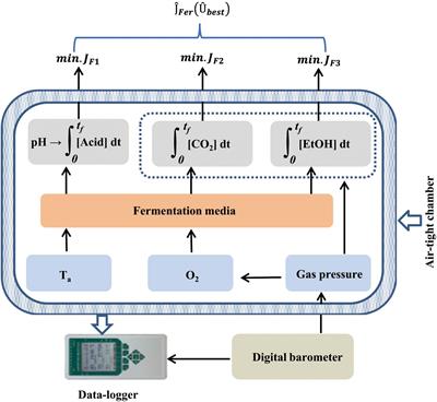 A Multi-Sensor Mini-Bioreactor to Preselect Silage Inoculants by Tracking Metabolic Activity in situ During Fermentation